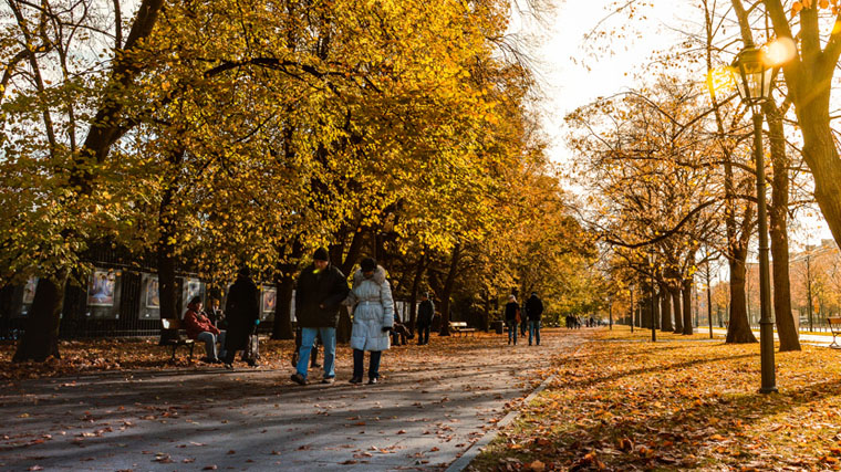 person walking down leaf covered street in autumn