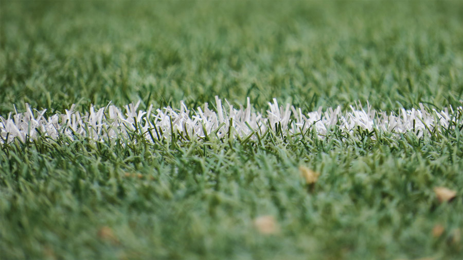 grass of sports field
