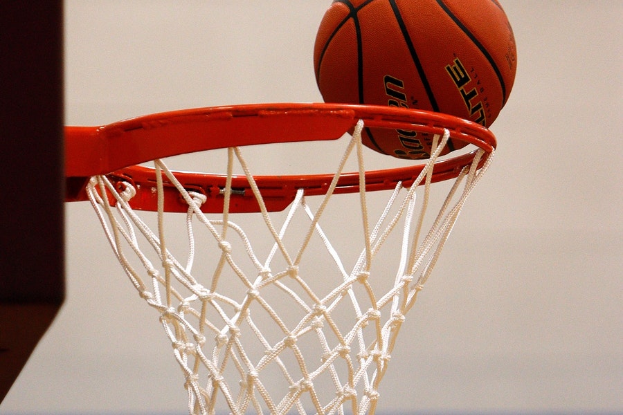 Basketball and net