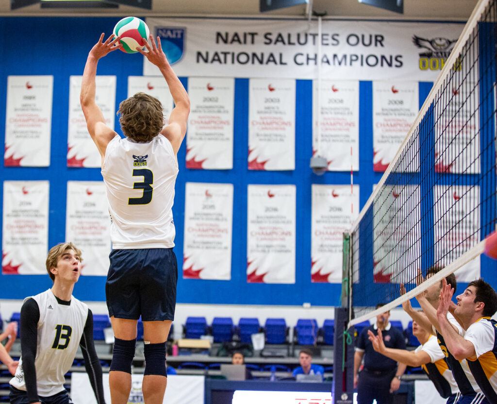 Men's Volleyball Profile | NAIT Nugget