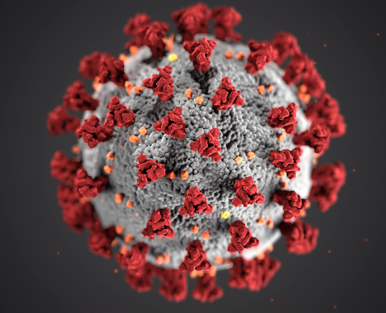 cells disease corona virus