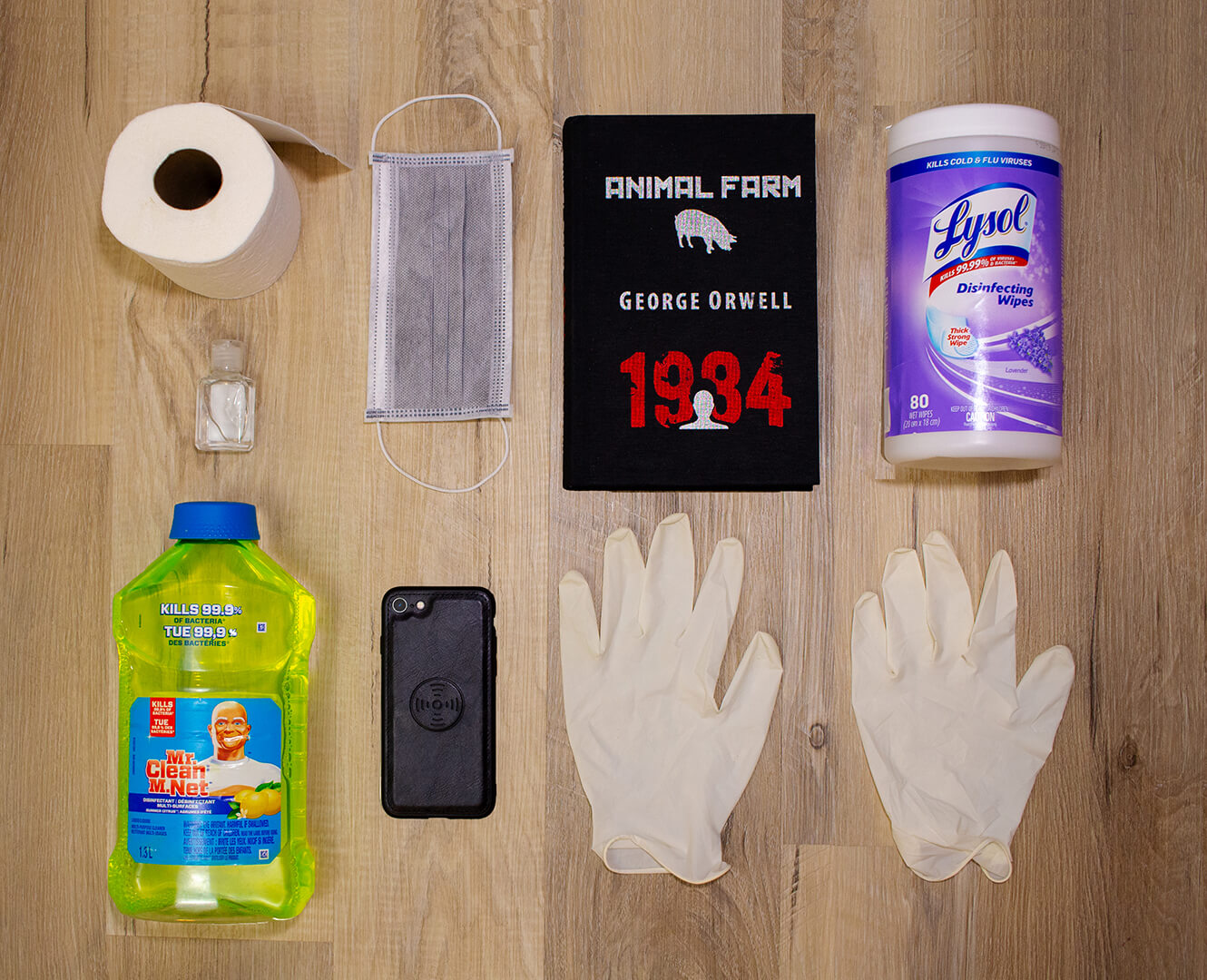 George orwell 1984 toilet paper gloves hand sanitizer cleaner lysol wipes