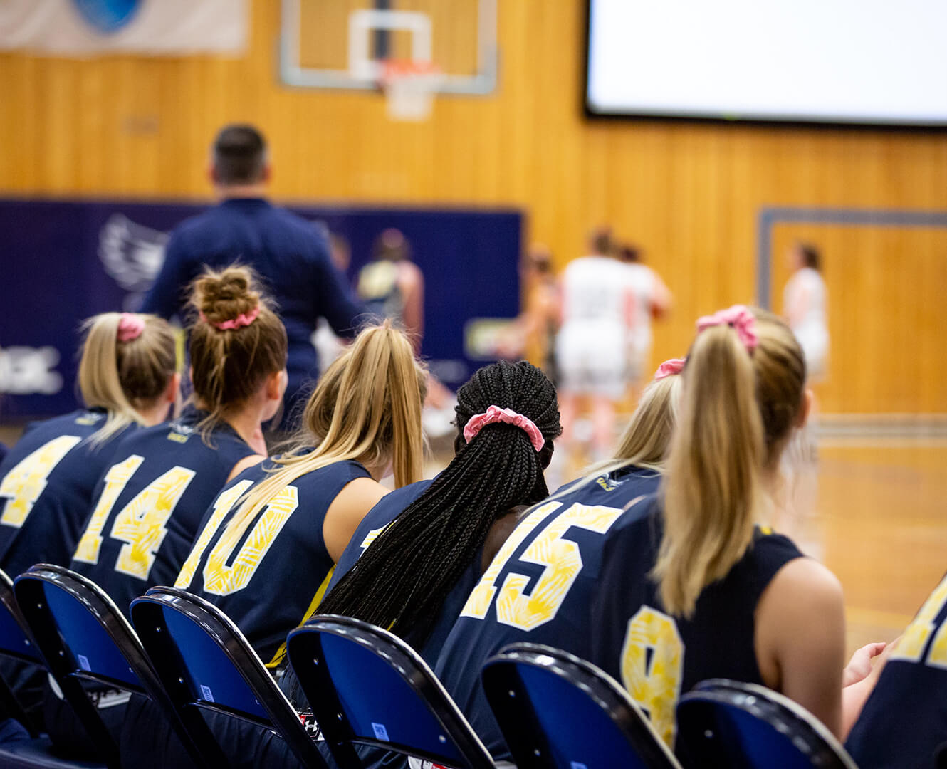 NAIT women's basketball team sits with their backs to the camera in the court watching the play