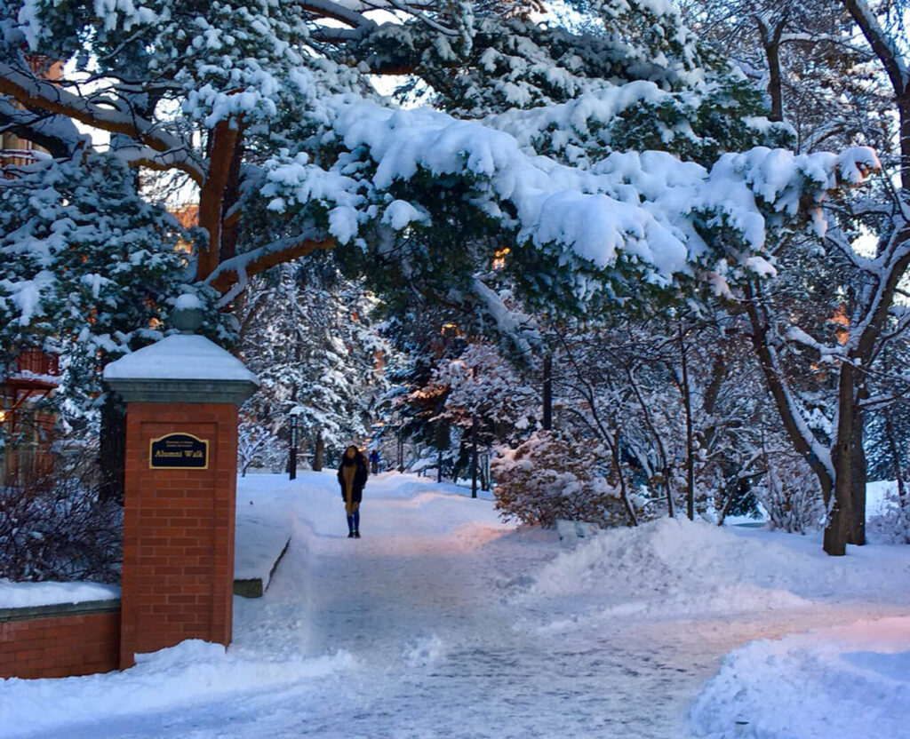 University of Alberta U OF A  winter students