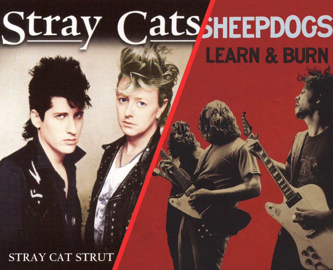 STRAY CATS AND SHEEPDOGS GRAPHIC