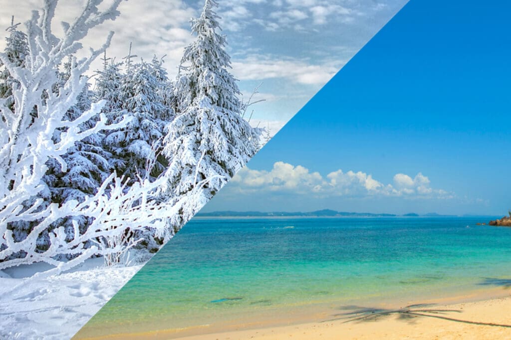 For/Against Summer vs. Winter NAIT Nugget