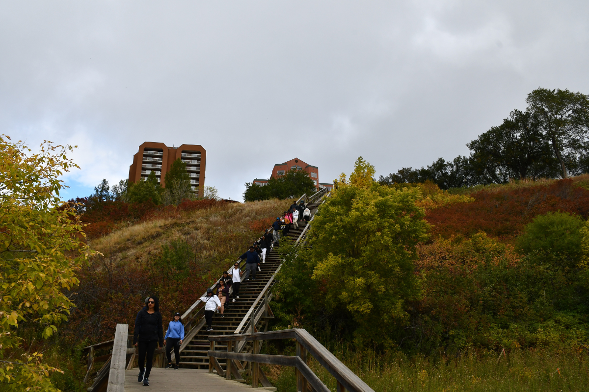 a group of walkers ascending stairs in the river valley