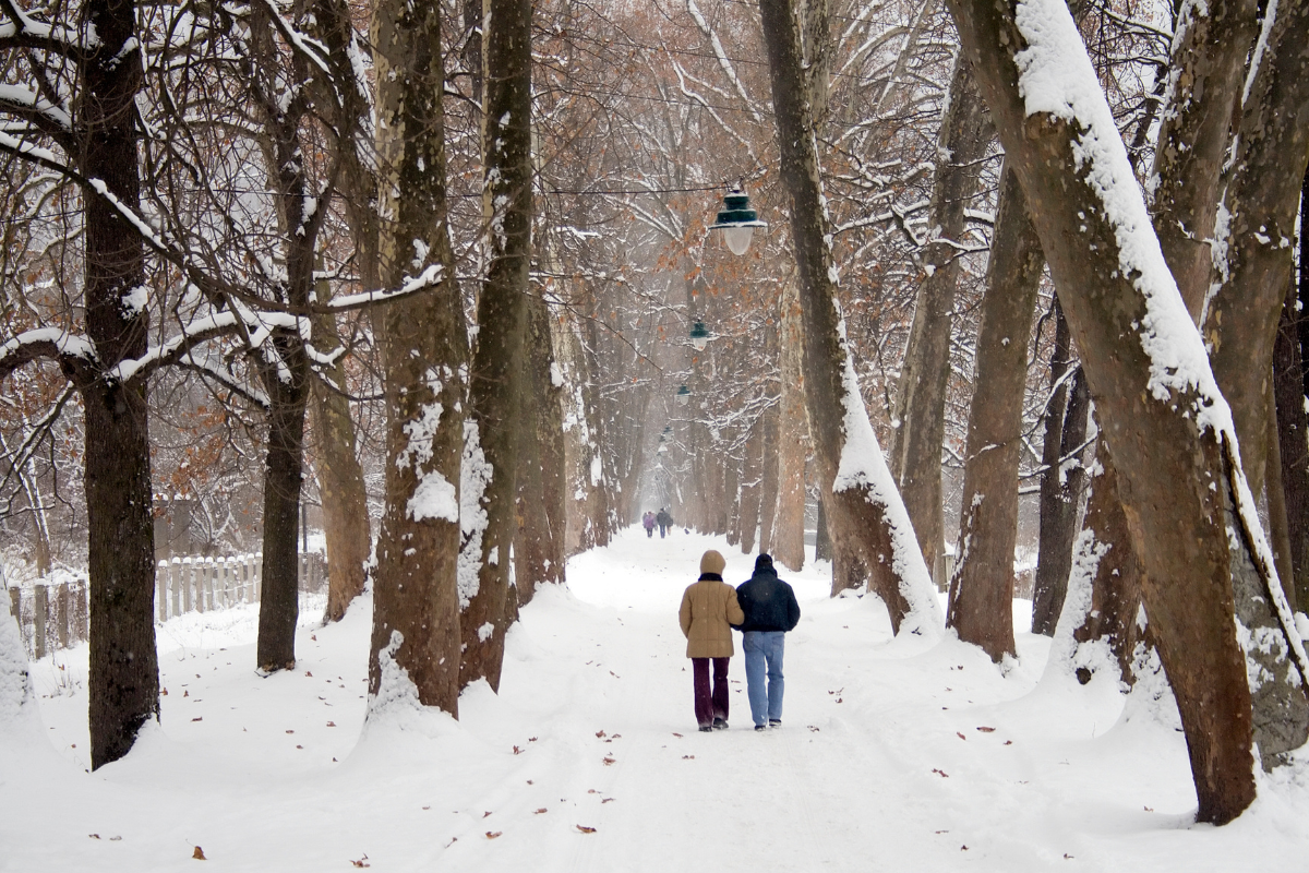 Two people walk down a path in a wintery forest.