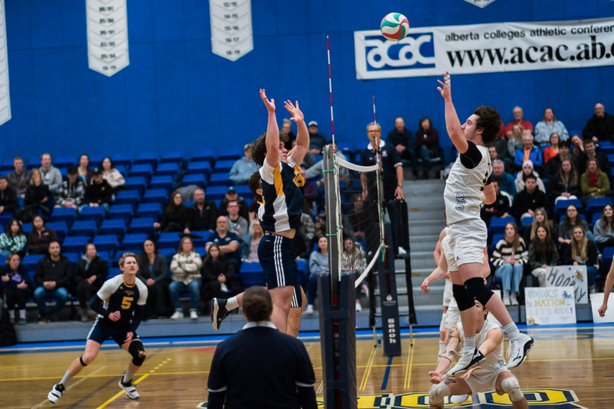 The men’s volleyball teams journey to playoffs