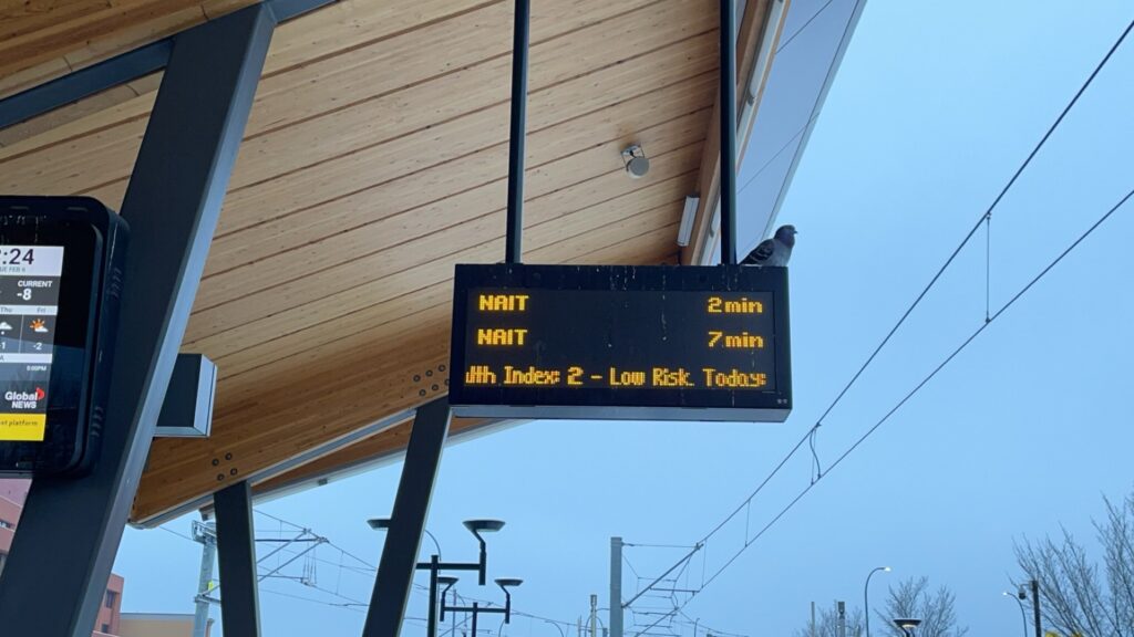 A small pigeon sits on an LRT arrival sign. The sign says the NAIT train will be arriving in 2 minutes and another in 7 minutes.