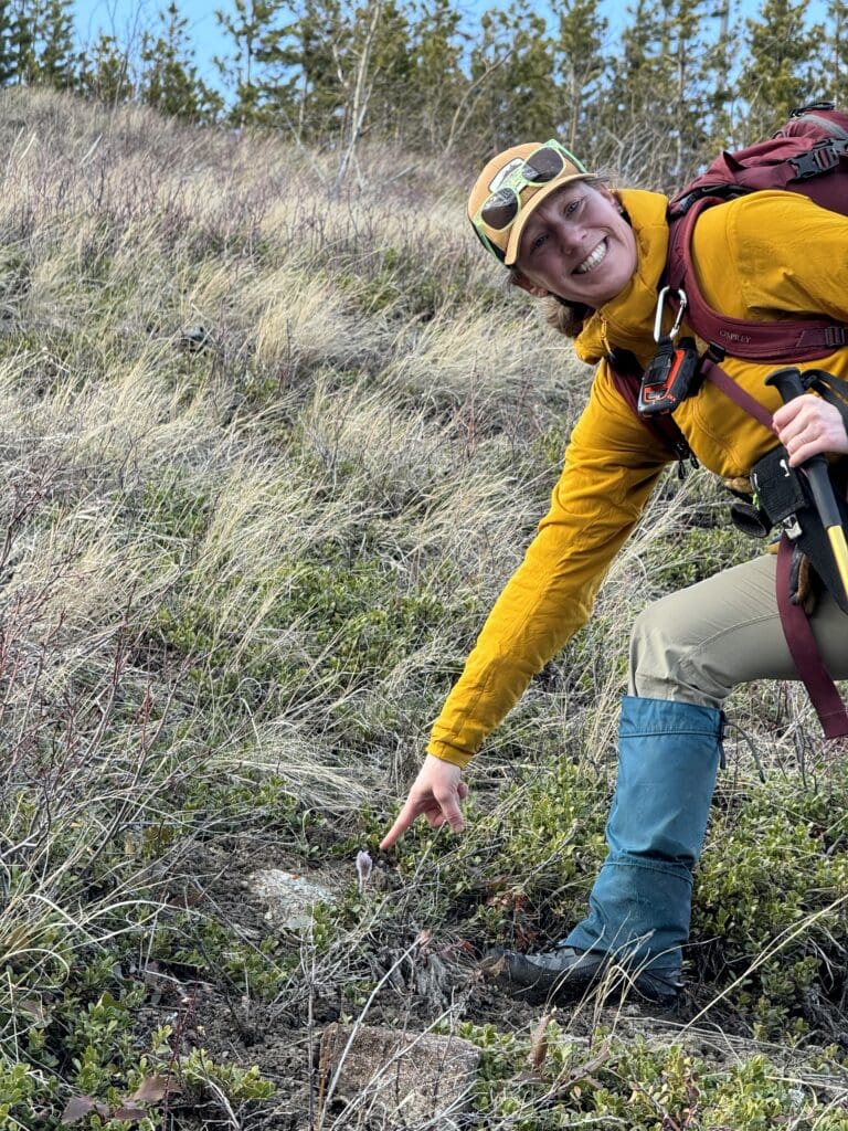 A smiling woman in a yellow coat points to crocus. 