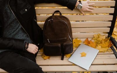 Fall-tastic Edmonton activities to resurrect you from the study grave