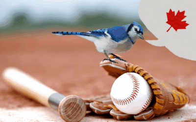 ‘Beautiful, classy’ Blue Jays: From underdogs to the World Series