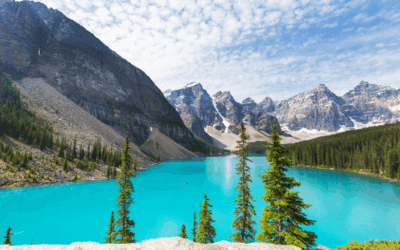 ‘Strong and free’ doesn’t feel the same