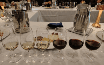 Wine tasting at Ernest’s: Cheese, cold cuts and learning ‘under the influence’